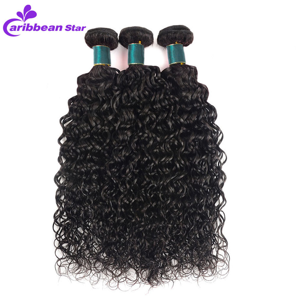 Brazilian Water Wave Wet And Wavy Hair Weave Bundles With Lace Frontal Closure